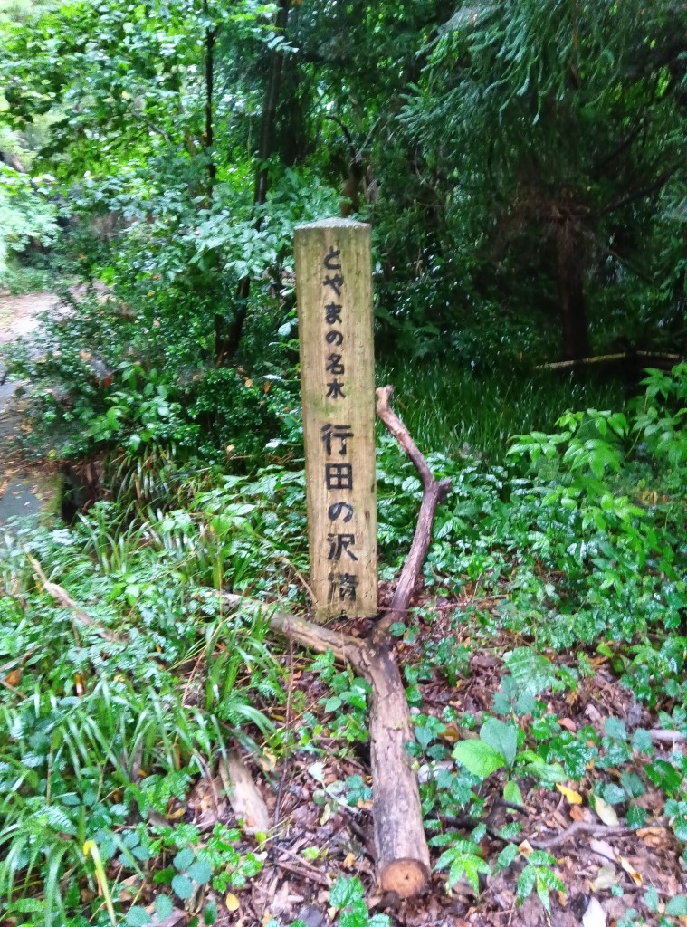 250624085523706[1]
