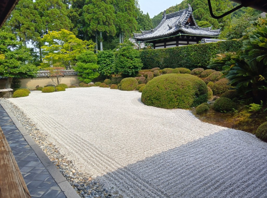 250704145309819[1]